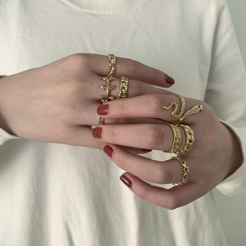 Multi-Layer Snake-Shaped Hollow Ring Combination